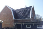 Woning oxks beets